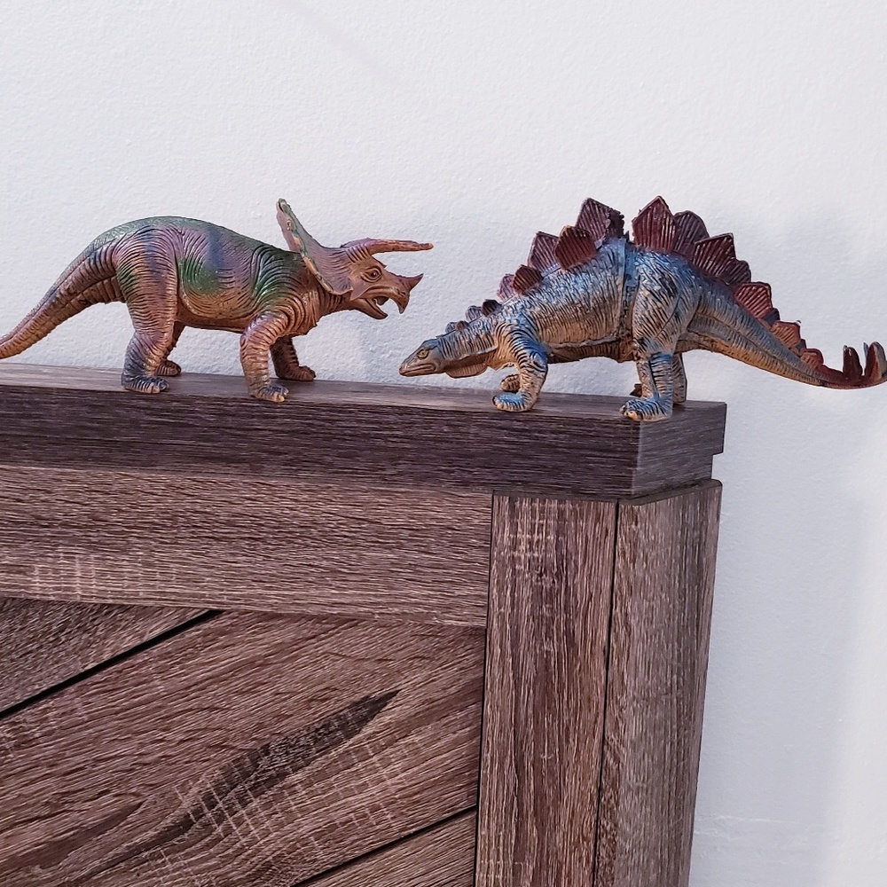 Stegosaurus and  triceratops dinosaurs